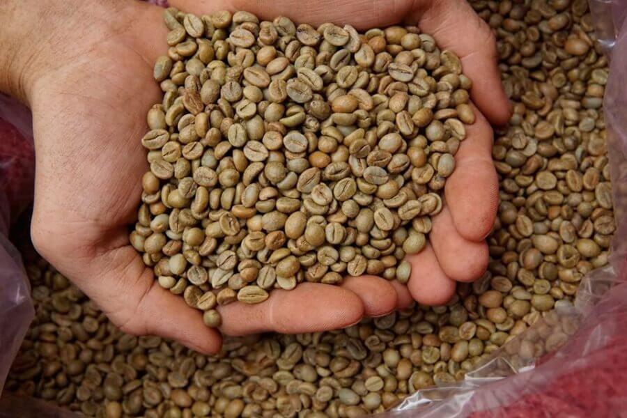Hạt cà phê Robusta thô